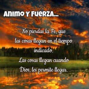 百姓色在线视频
